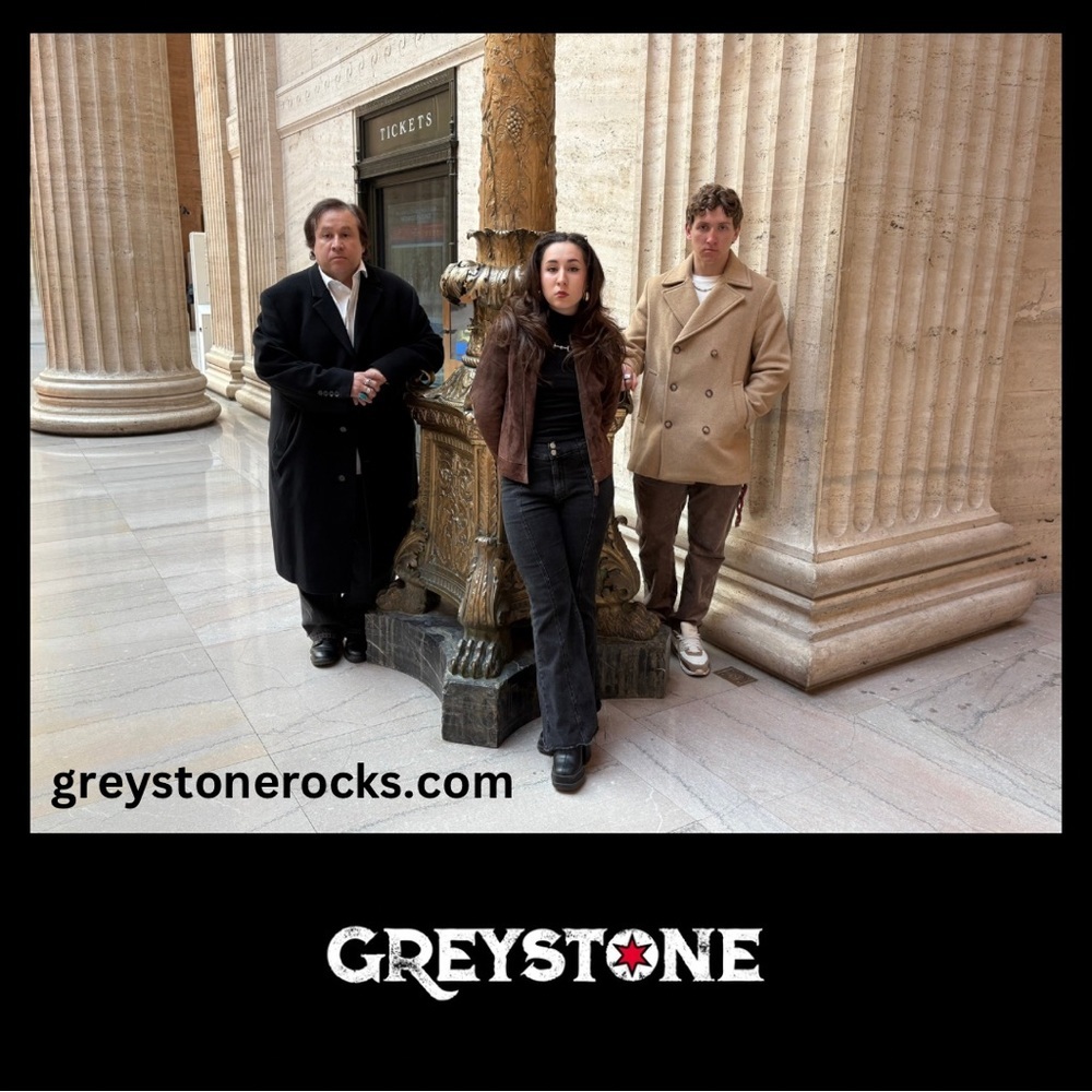 GREYSTONE | T-shirt | Heavy Cotton - Picture 6 of 9
